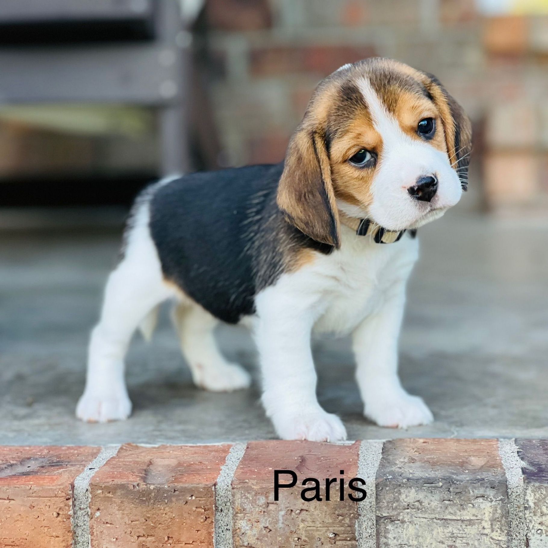 akngwggy959tw8v3wnfh690spyet