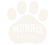 Morris Beagle Puppies